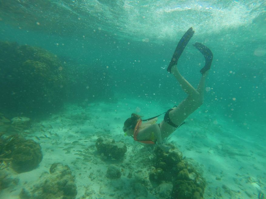 Student snorkeling in Florida