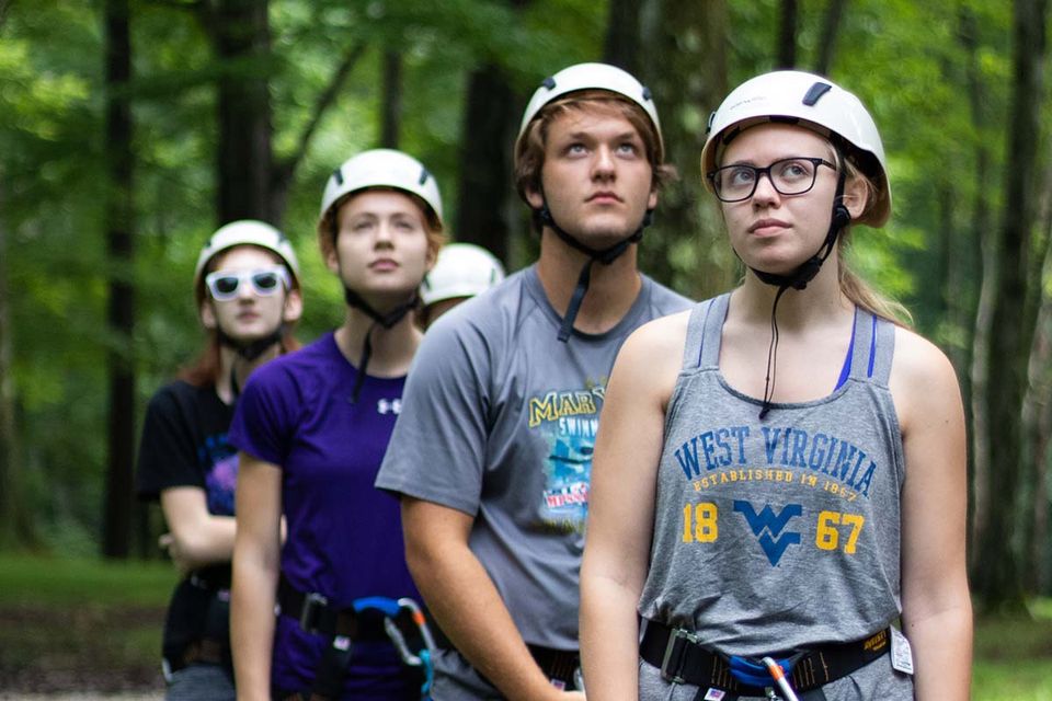 Five people in zip-lining gear standing in a line looking upwards in a forest.